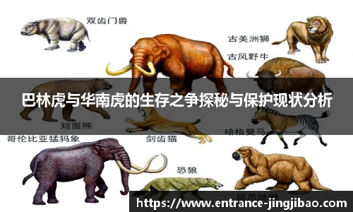 巴林虎与华南虎的生存之争探秘与保护现状分析