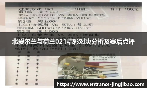 北爱尔兰与荷兰021精彩对决分析及赛后点评